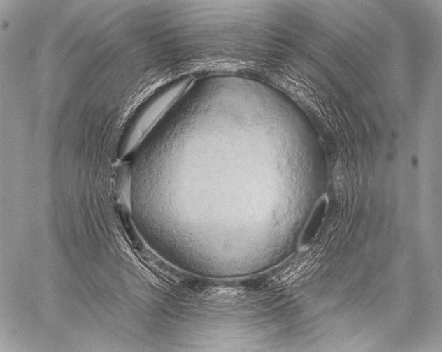 X0000057580352200510171713