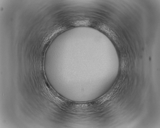 X0000057580353200510171713