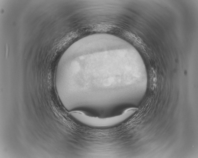 X0000057580354200510171713