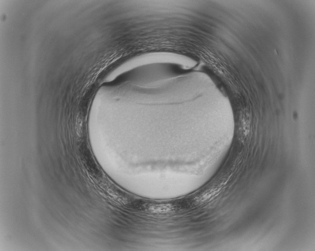 X0000057580355200510171713