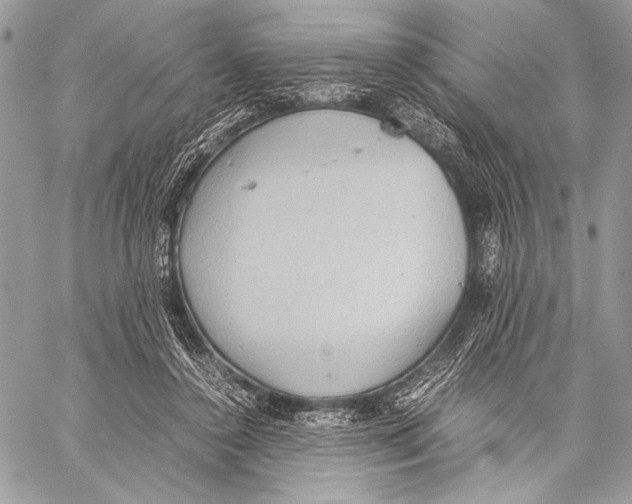 X0000057580356200510171713