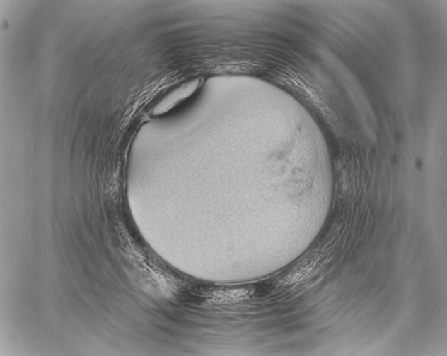 X0000057580357200510171713