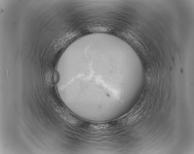 X0000057580359200510171713