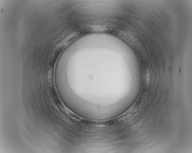 X0000057580360200510171713