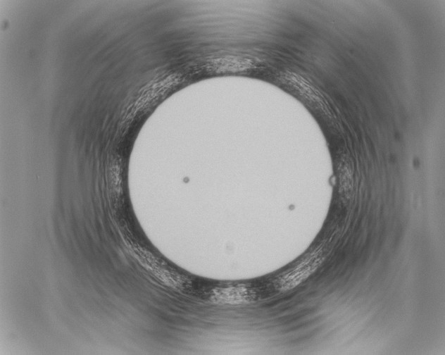 X0000057580362200510171713