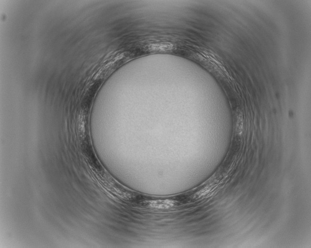 X0000057580363200510171713