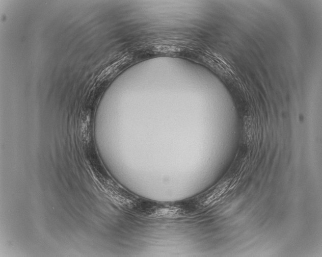 X0000057580364200510171713