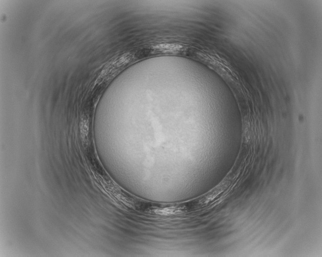 X0000057580365200510171713