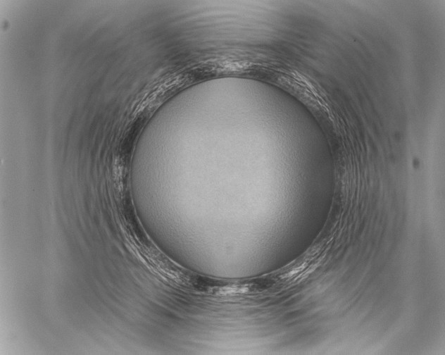 X0000057580366200510171713