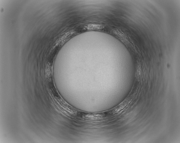 X0000057580367200510171714