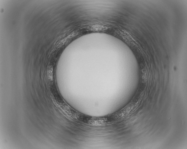 X0000057580368200510171714