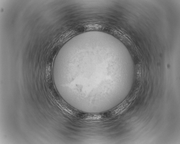 X0000057580369200510171714