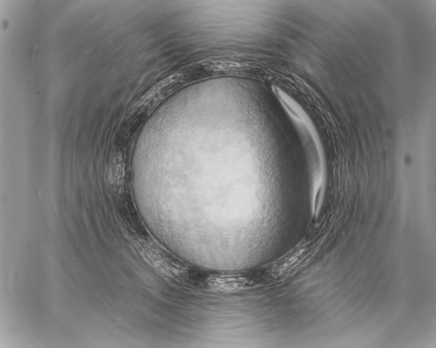 X0000057580372200510171714