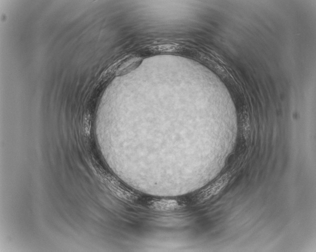 X0000057580374200510171714