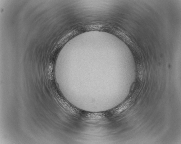 X0000057580378200510171714