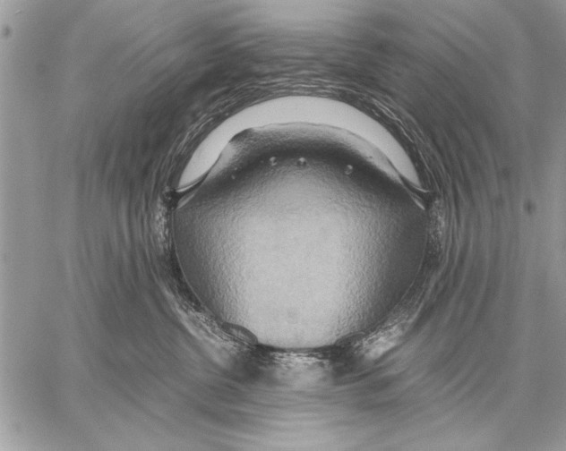 X0000057580380200510171714