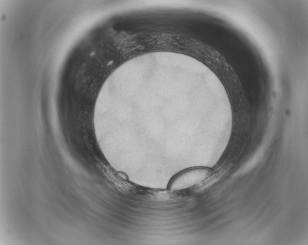 X0000057580382200510171714