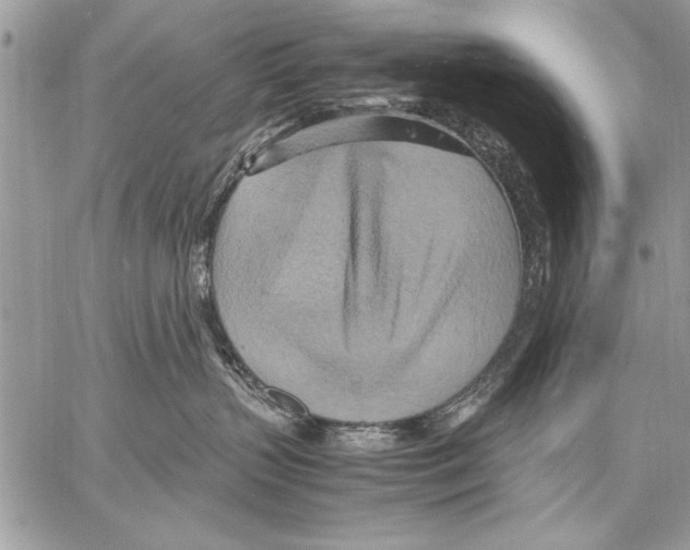 X0000057580383200510171714