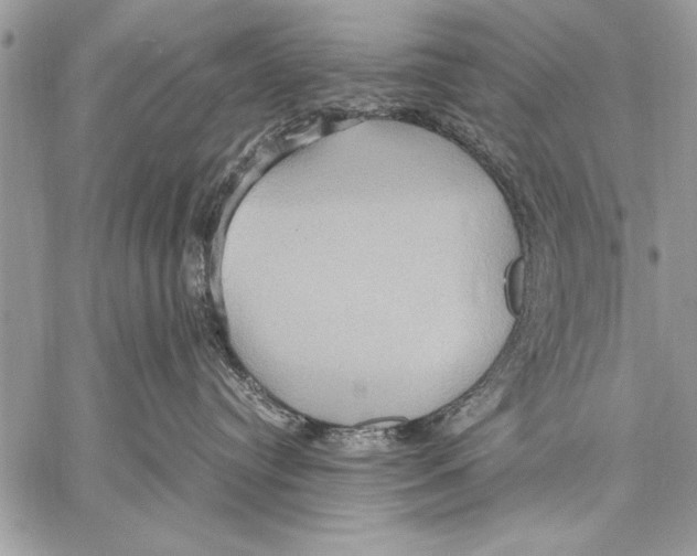 X0000057580384200510171714