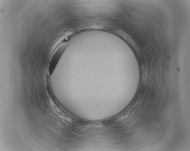 X0000057580386200510171713