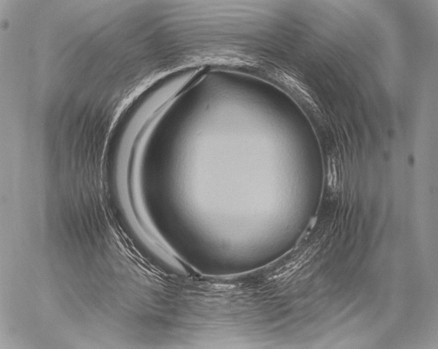 X0000057580388200510171713