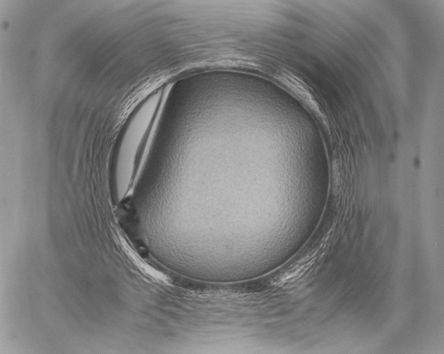 X0000057580389200510171713