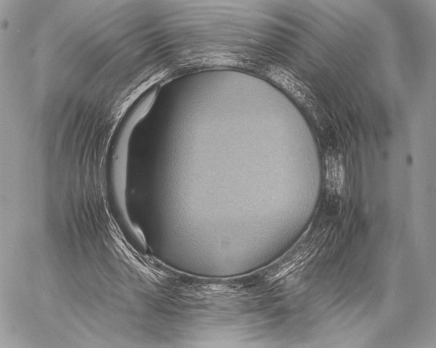 X0000057580390200510171713