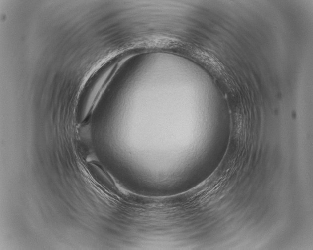 X0000057580392200510171713