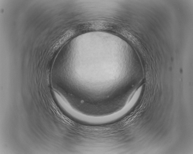 X0000057580393200510171713