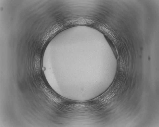 X0000057580394200510171713