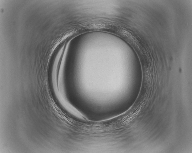 X0000057580395200510171713