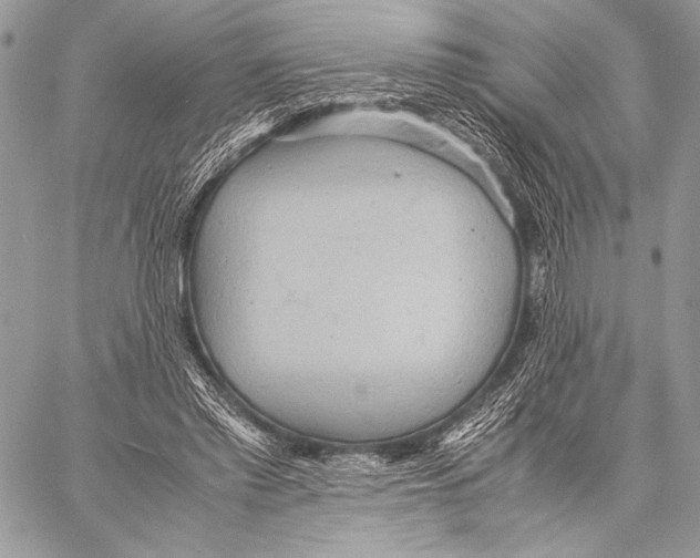 X0000057580397200510171713