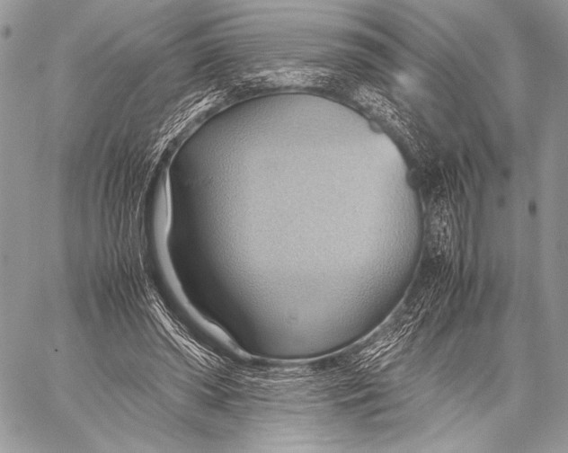 X0000057580398200510171713