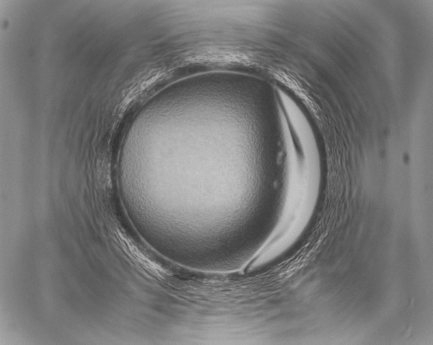 X0000057580399200510171713