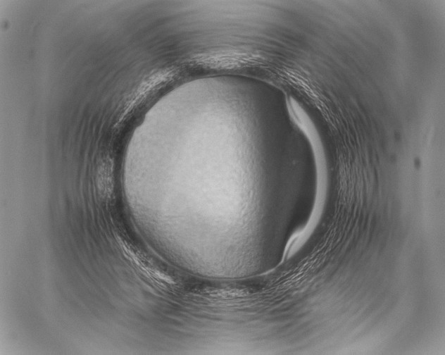 X0000057580400200510171713