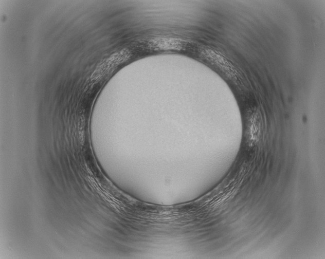 X0000057580402200510171713