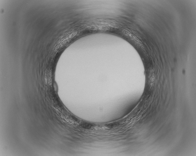 X0000057580403200510171713