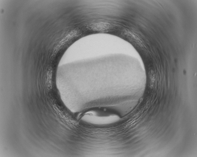 X0000057580404200510171713