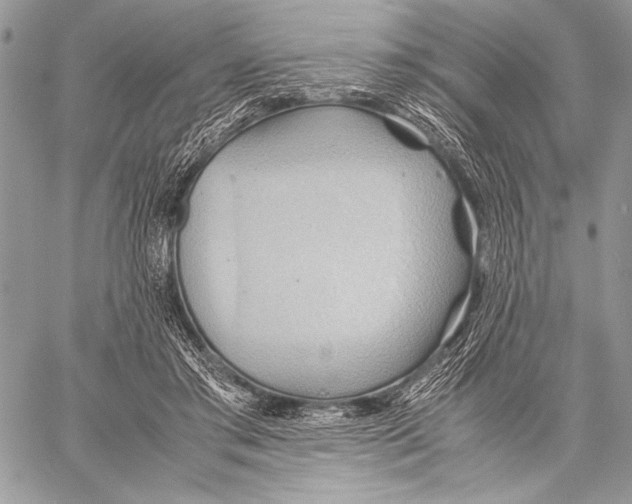 X0000057580405200510171713