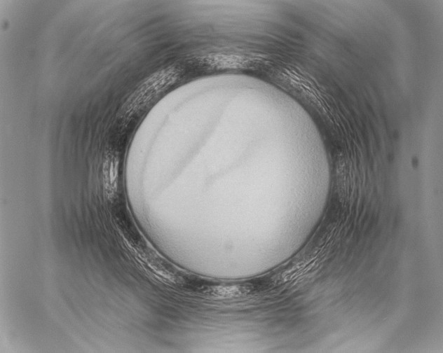 X0000057580406200510171713