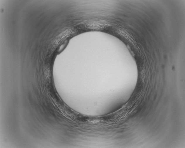 X0000057580407200510171713