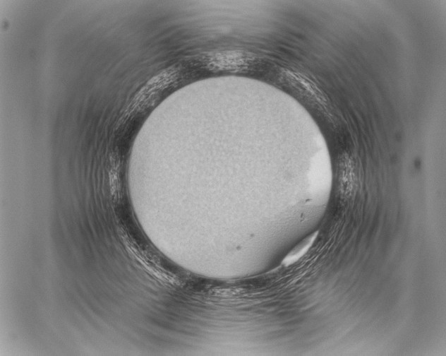 X0000057580408200510171713