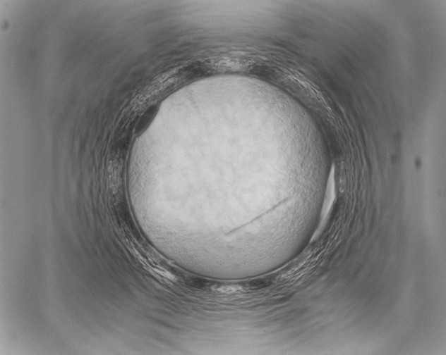 X0000057580409200510171713