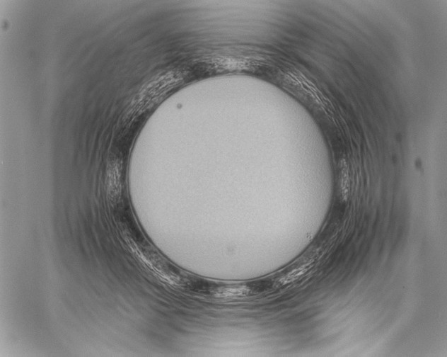 X0000057580410200510171713