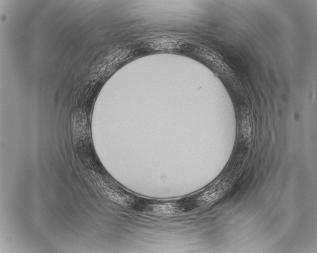 X0000057580411200510171713