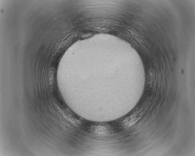 X0000057580412200510171713