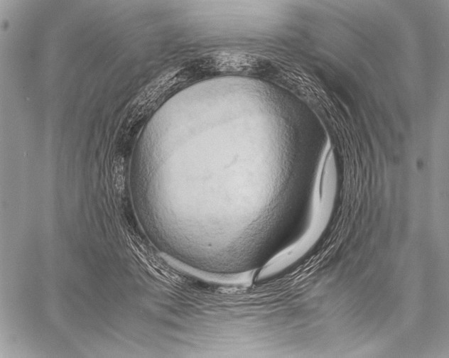 X0000057580413200510171713