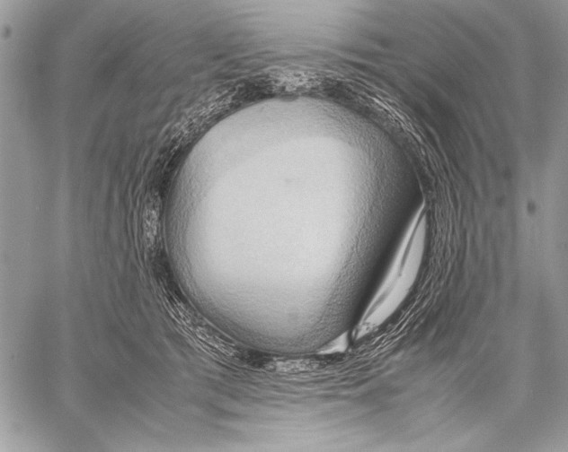 X0000057580417200510171712