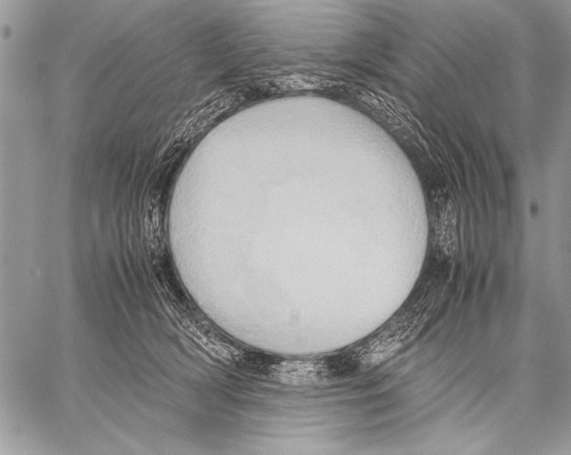 X0000057580418200510171712