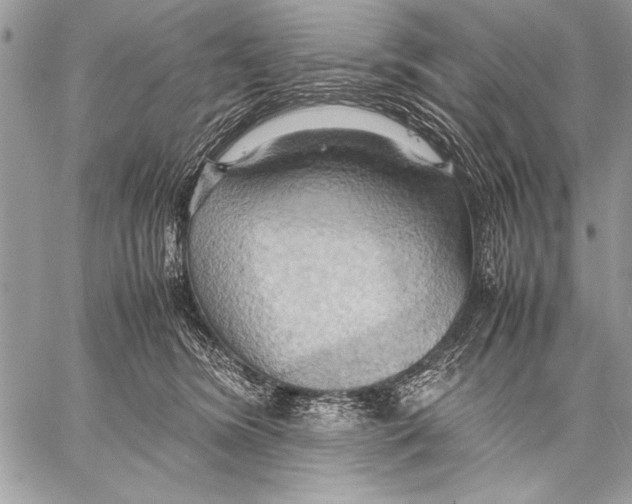 X0000057580420200510171712